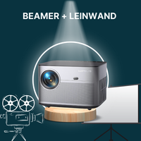 Beamer + Leinwand